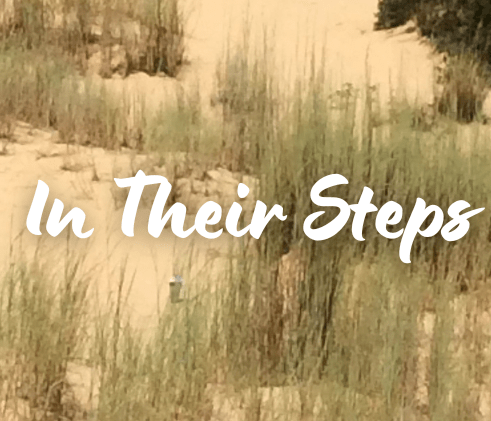 Before the First Step – The Winding Path